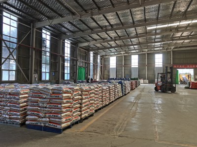 파란 귀 질병을 정화하기위한 당신의 옵션은 무엇입니까?